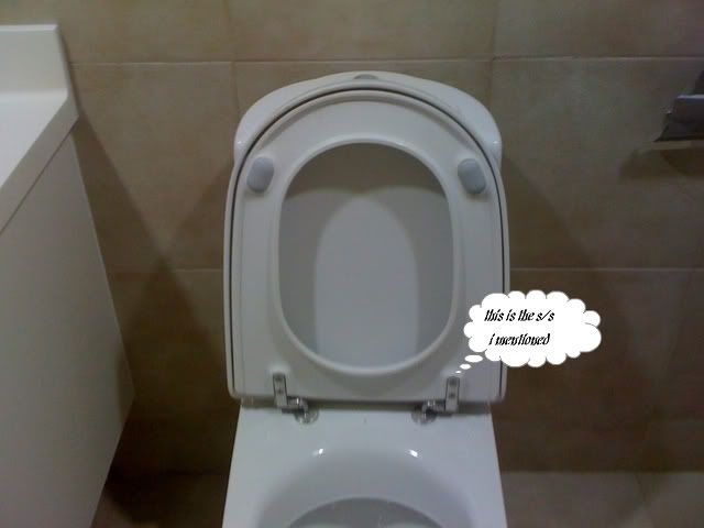 toiletbowl-1.jpg