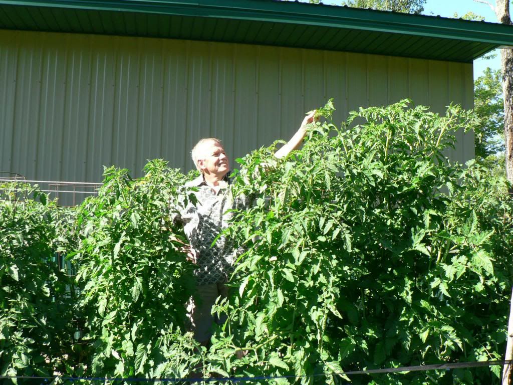  photo ArkansasTripandPolebarngarden013_zps1a085765.jpg