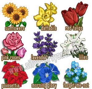 Picture of All Flowers on Farmville Game (Facebook)