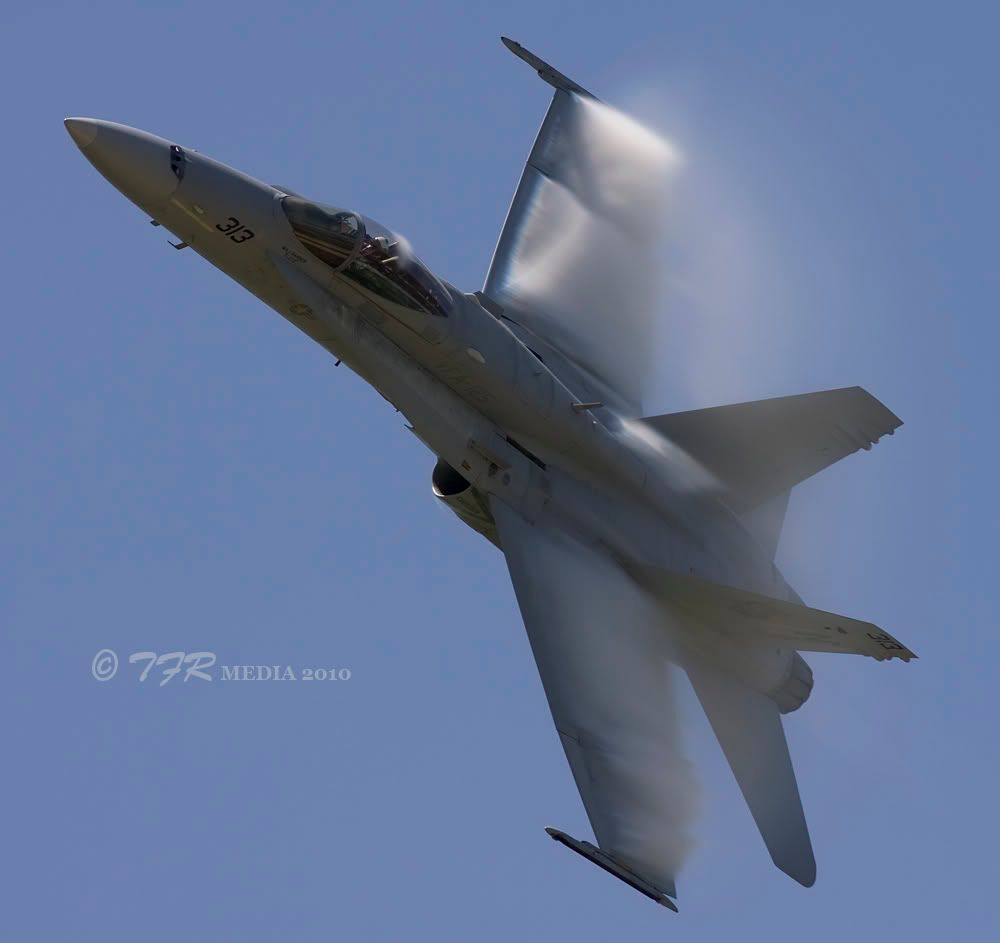 IMAGE: http://i918.photobucket.com/albums/ad23/horse51/2010%20Quad%20Cities/qc10IMG_0467.jpg