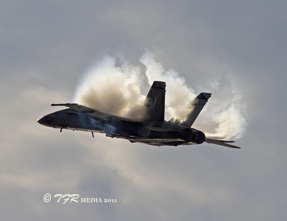 IMAGE: http://i918.photobucket.com/albums/ad23/horse51/2011%20-%20Me%20So%20Hornet/gar11IMG_6149.jpg