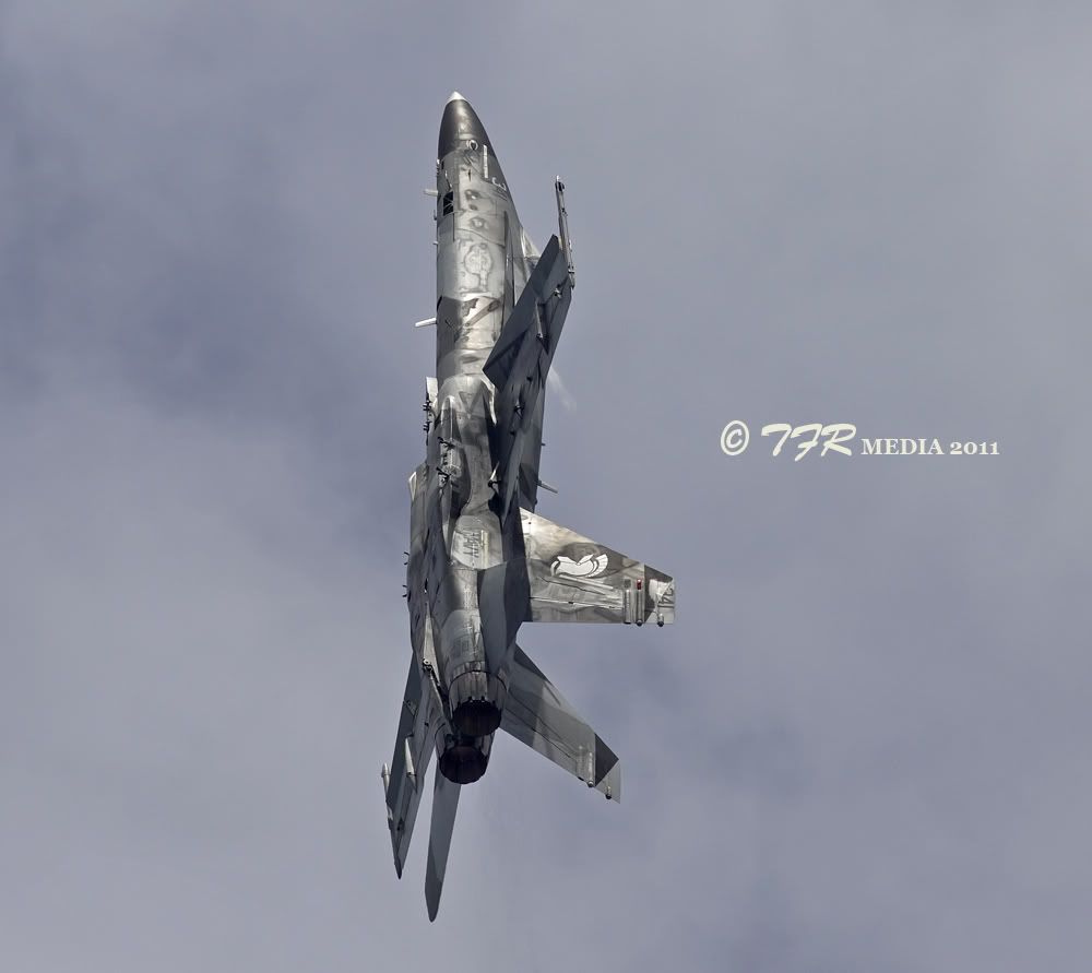 IMAGE: http://i918.photobucket.com/albums/ad23/horse51/2011%20-%20Me%20So%20Hornet/gar11IMG_6505.jpg