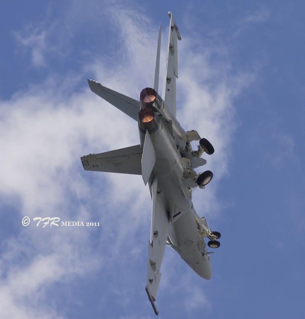 IMAGE: http://i918.photobucket.com/albums/ad23/horse51/2011%20-%20Me%20So%20Hornet/jan11IMG_6815.jpg