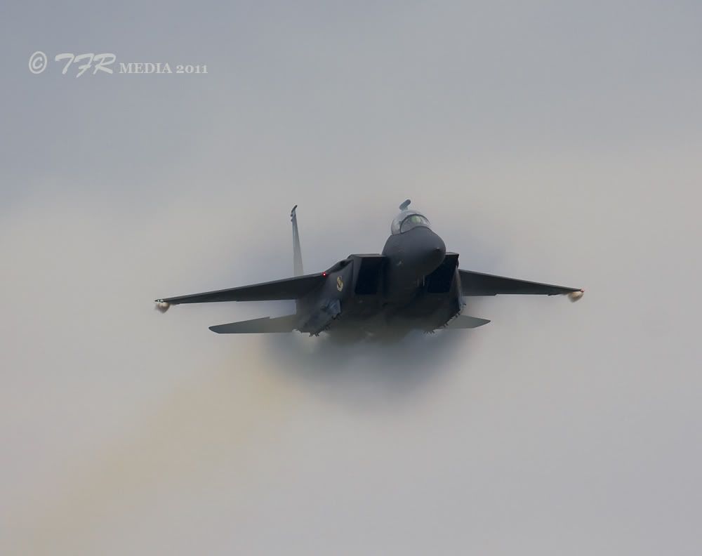 IMAGE: http://i918.photobucket.com/albums/ad23/horse51/2011%20QCAS/qc11IMG_1677.jpg