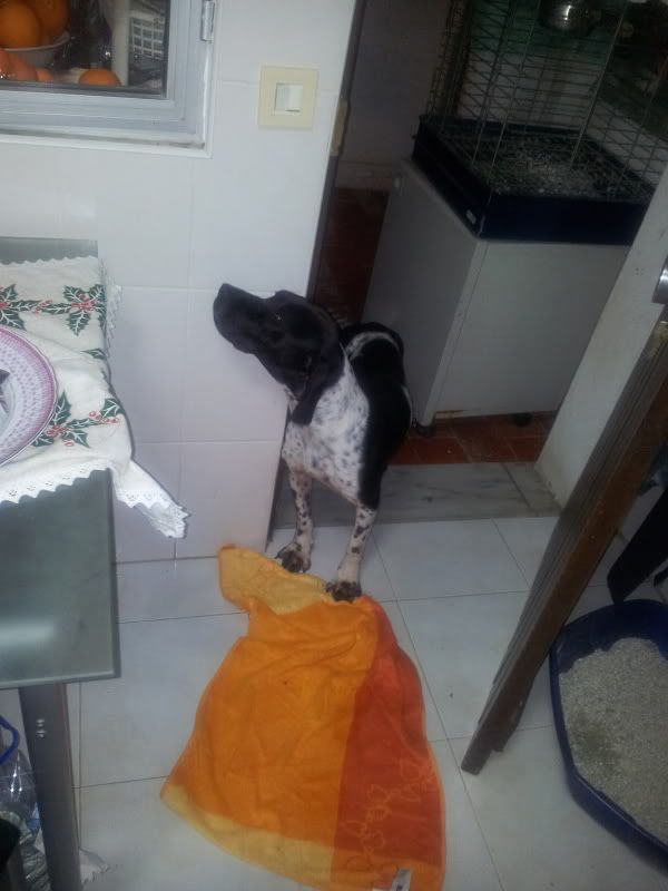 Imagem