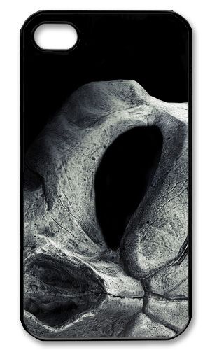 Skull    iPhone Case Cover     477