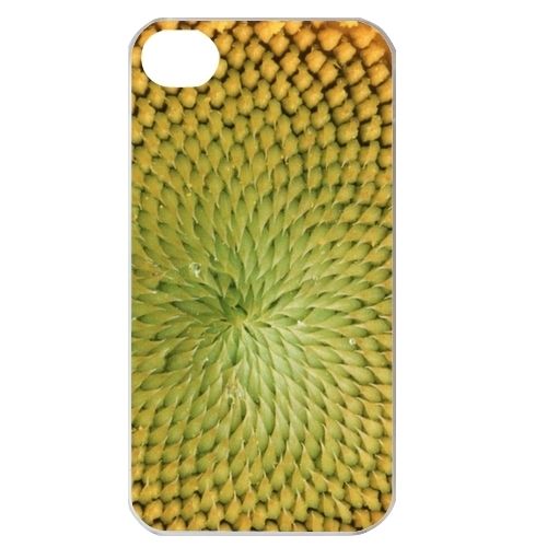 Sun Flower Close Pollen Image    iPhone Case Cover     616