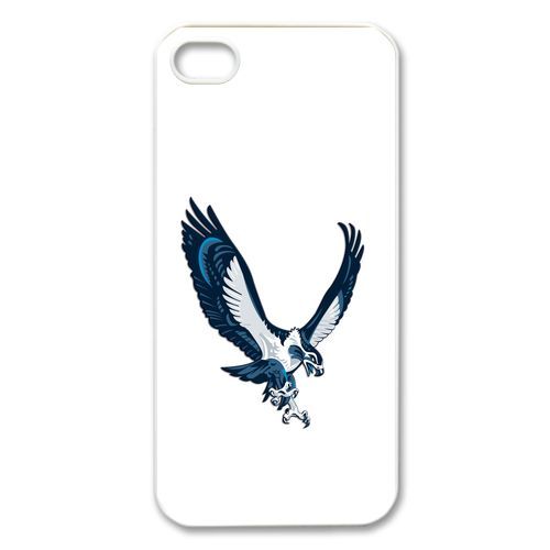seattle seahawks    iPhone Case Cover     596