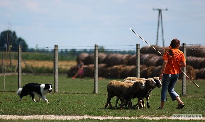 Rakocifalva20090711-602_W.jpg