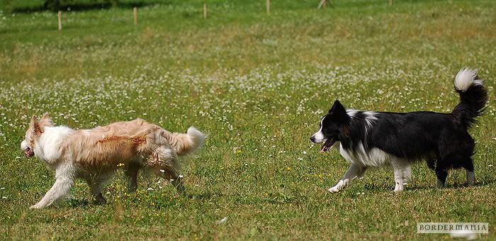 osagard_20090719_436_W.jpg