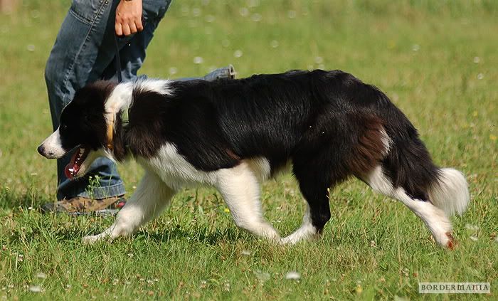 osagard_20090719_486_W.jpg