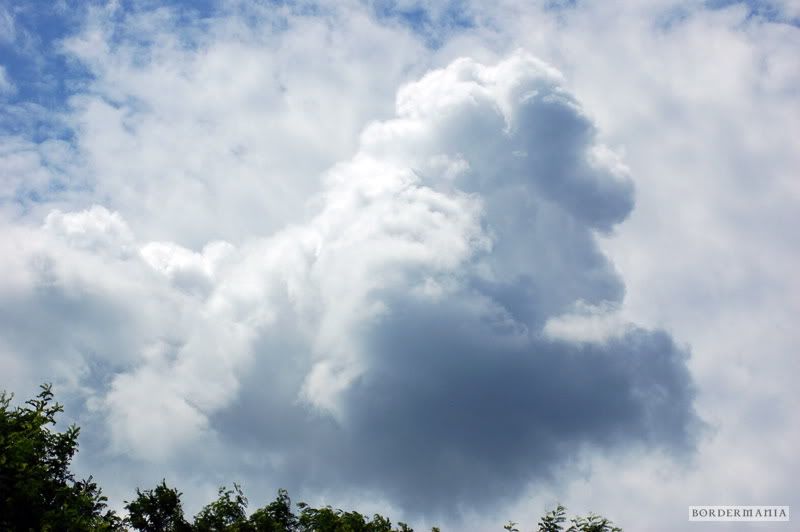 Osagard20090725138_W-2.jpg