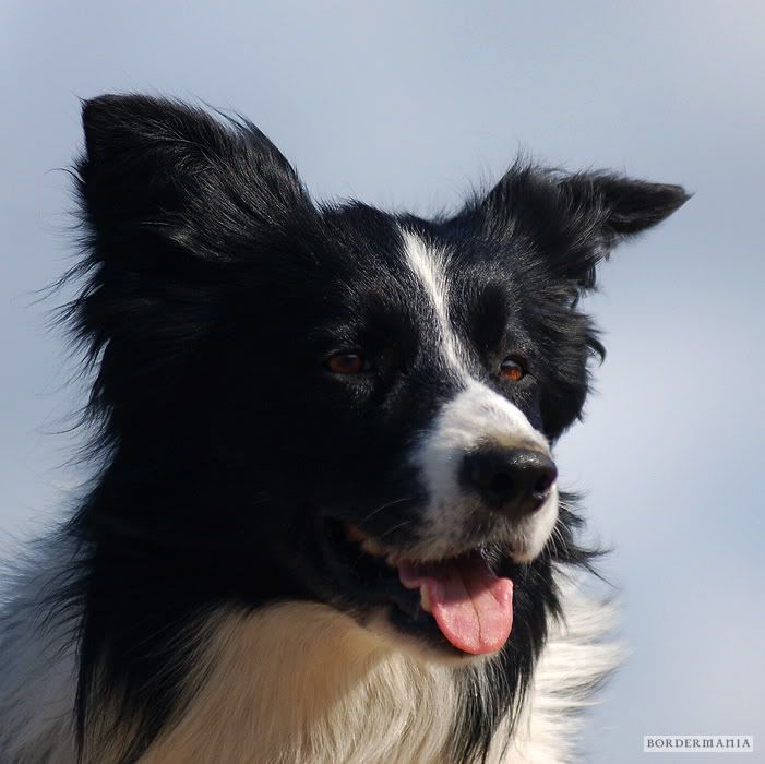 Osagard20090725354_W.jpg