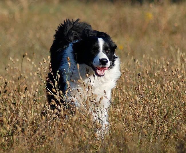 Madlen_Monty20091003433.jpg