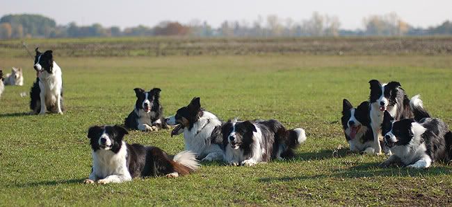 Rakoczi20091031040-2.jpg