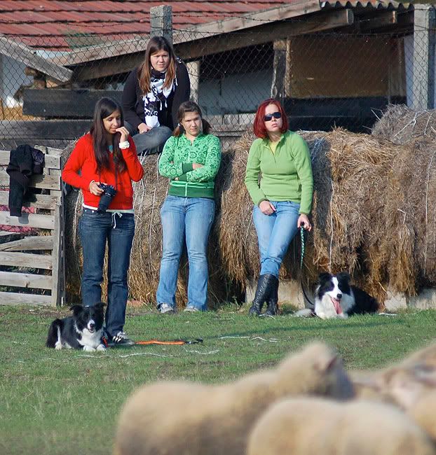 Rakoczi20091031241.jpg