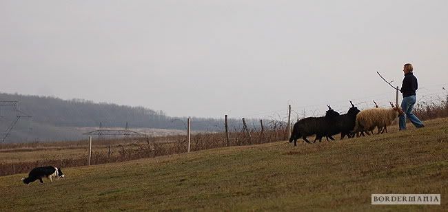 Osagard20091206260_W.jpg