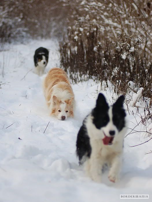 20091220-snowwalking414_W.jpg
