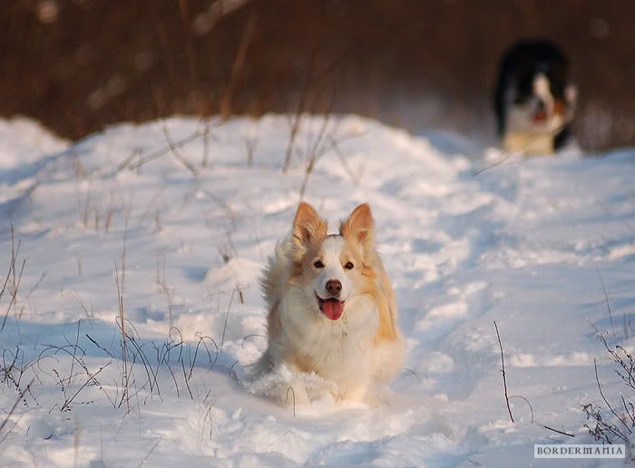 20091220-snowwalking441_W.jpg