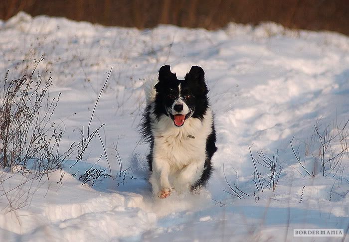 20091220-snowwalking446_W.jpg