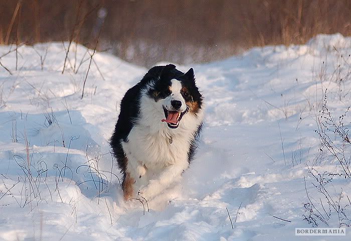 20091220-snowwalking457_W.jpg