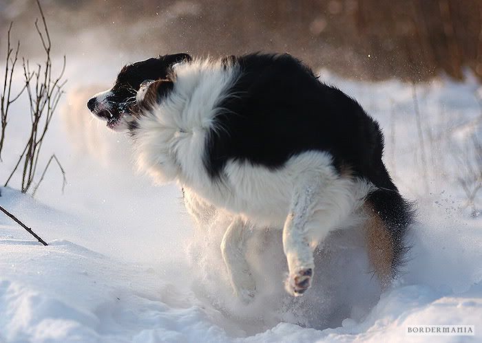 20091220-snowwalking489_W.jpg