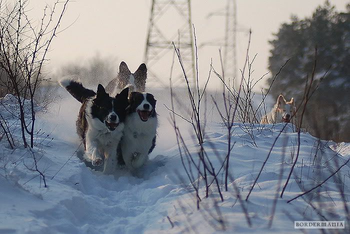 20091220-snowwalking493_W.jpg