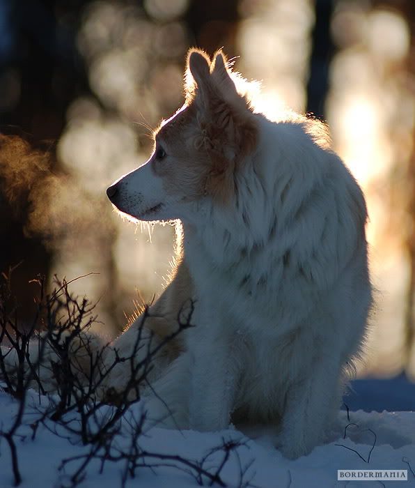 20091220-snowwalking627_W.jpg