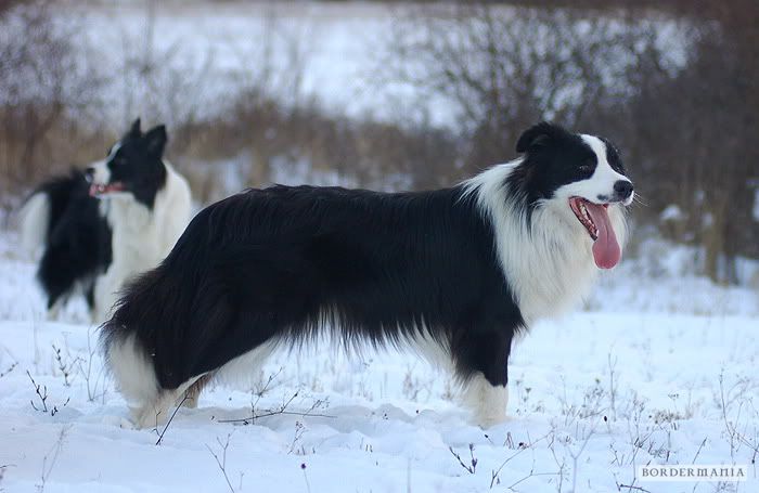20100123_Szulinap_07-309_W.jpg