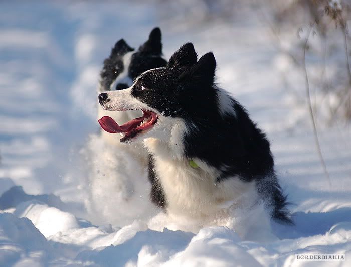 20100201_seta_334_W.jpg