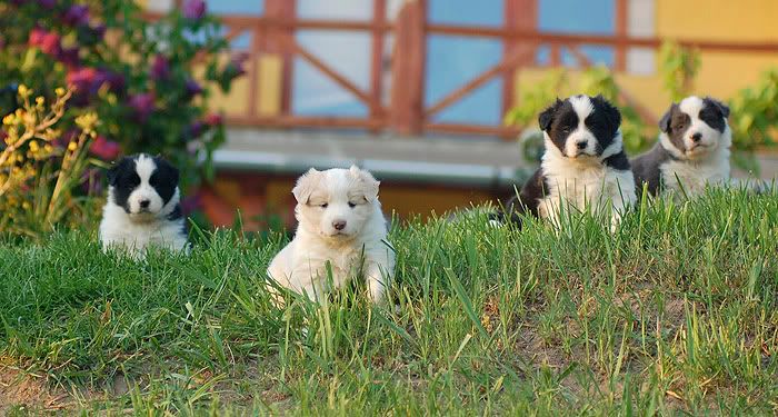 201004301_month099.jpg