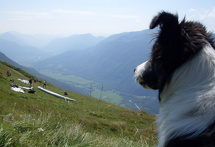 SDC11264.jpg