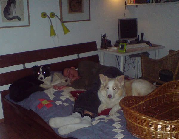 100110_este.jpg