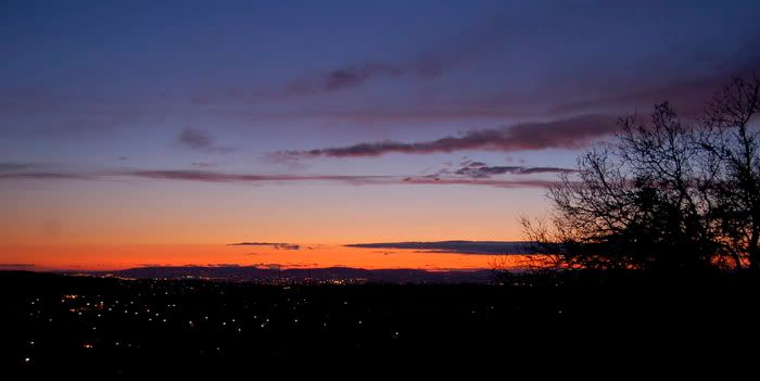 DSC_0296.jpg