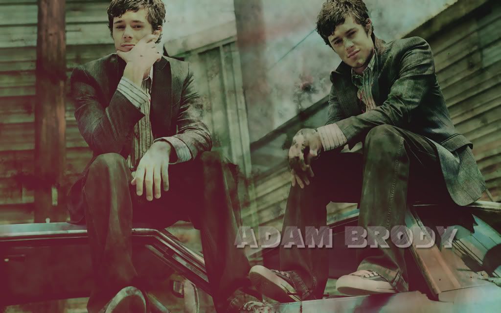 adam brody wallpaper. Adam Brody Wallpaper