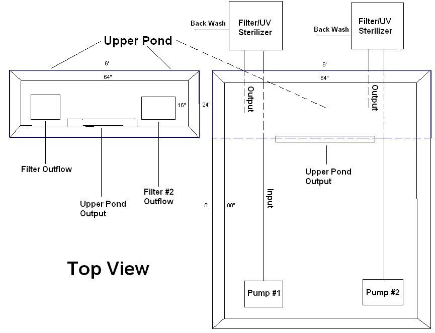 Above Ground Pond 