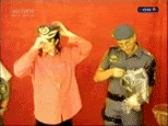 thm3f4ed394ed619648cb91.gif