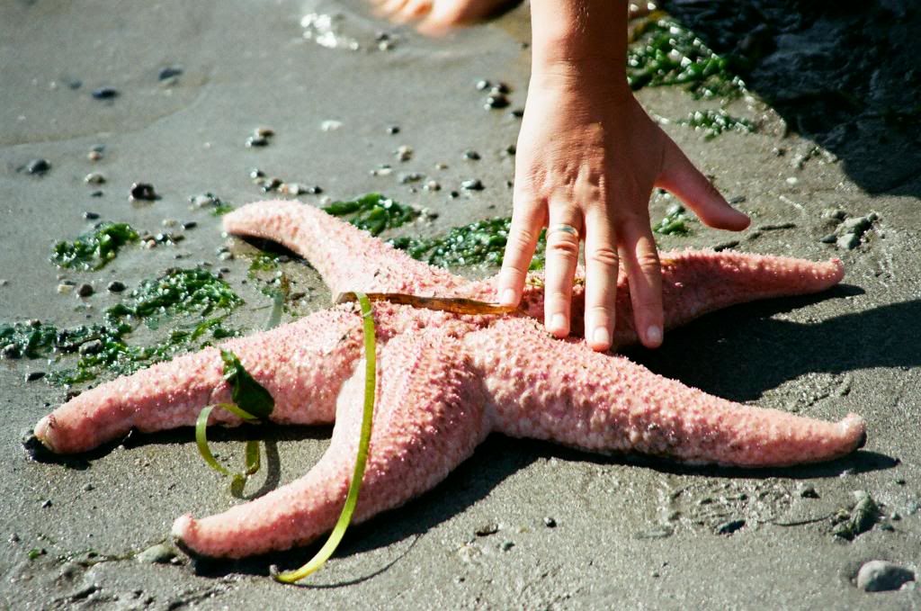 Звездная болезнь. 