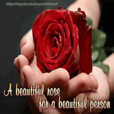animated roses photo: A beautiful rose for a beautiful person roses54.gif