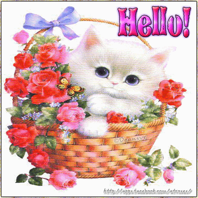 Animated Cute Cats on Rose Roses Rosa   Hello