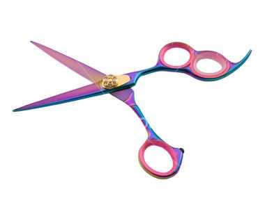 Hair Shears on Ist2 2752097 Hair Cutting Shears Jpg