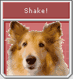 [Image: ShakeIcon.png]