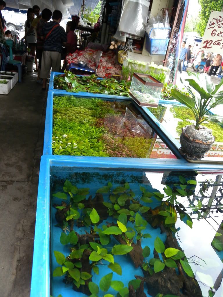 Bangkok