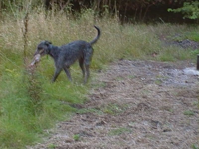 zac14mths078-1.jpg?t=1318531632