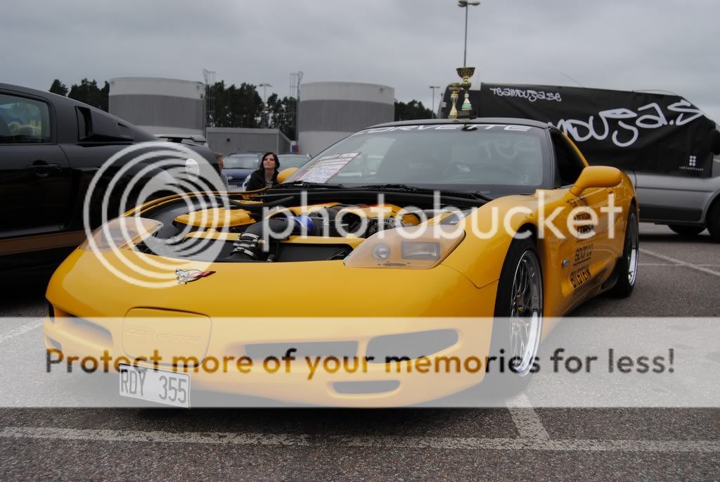 دبابيس رانشمان اشمئزاز قشر  stolar corvette c5 2003